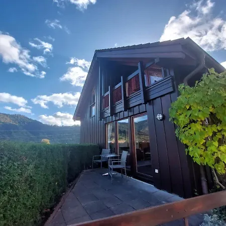 Ferienwohnungen Sonnenhalde Mit Schoener Aussicht Forbach Exterior photo