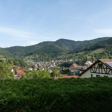 Ferienwohnungen Sonnenhalde Mit Schoener Aussicht Forbach Exterior photo