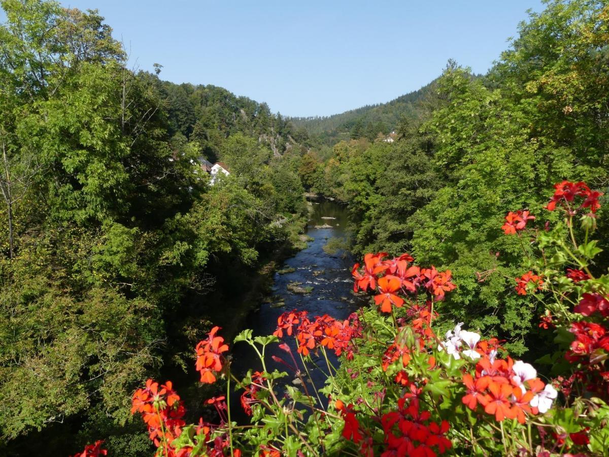 Apartment Sonnenhalde Mit Schoener Aussicht Forbach