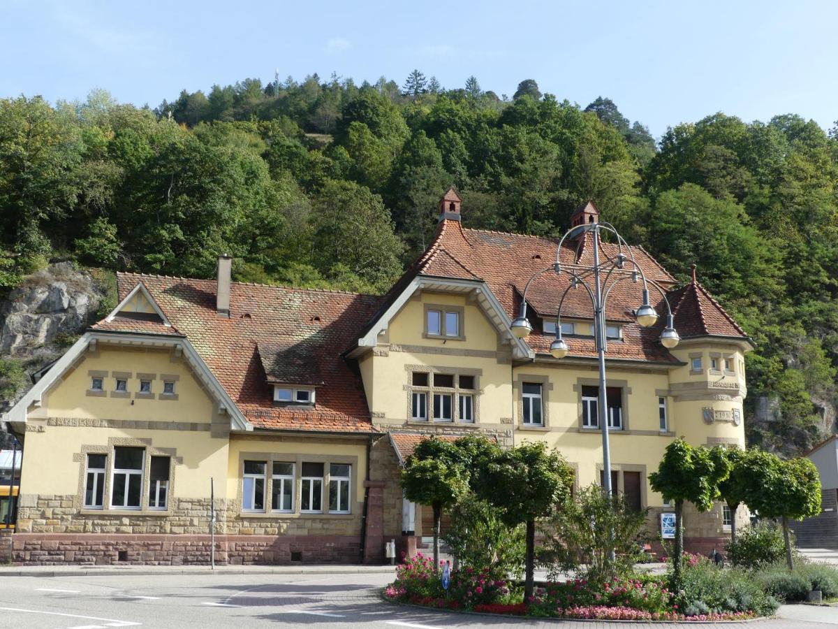 Sonnenhalde Mit Schoener Aussicht