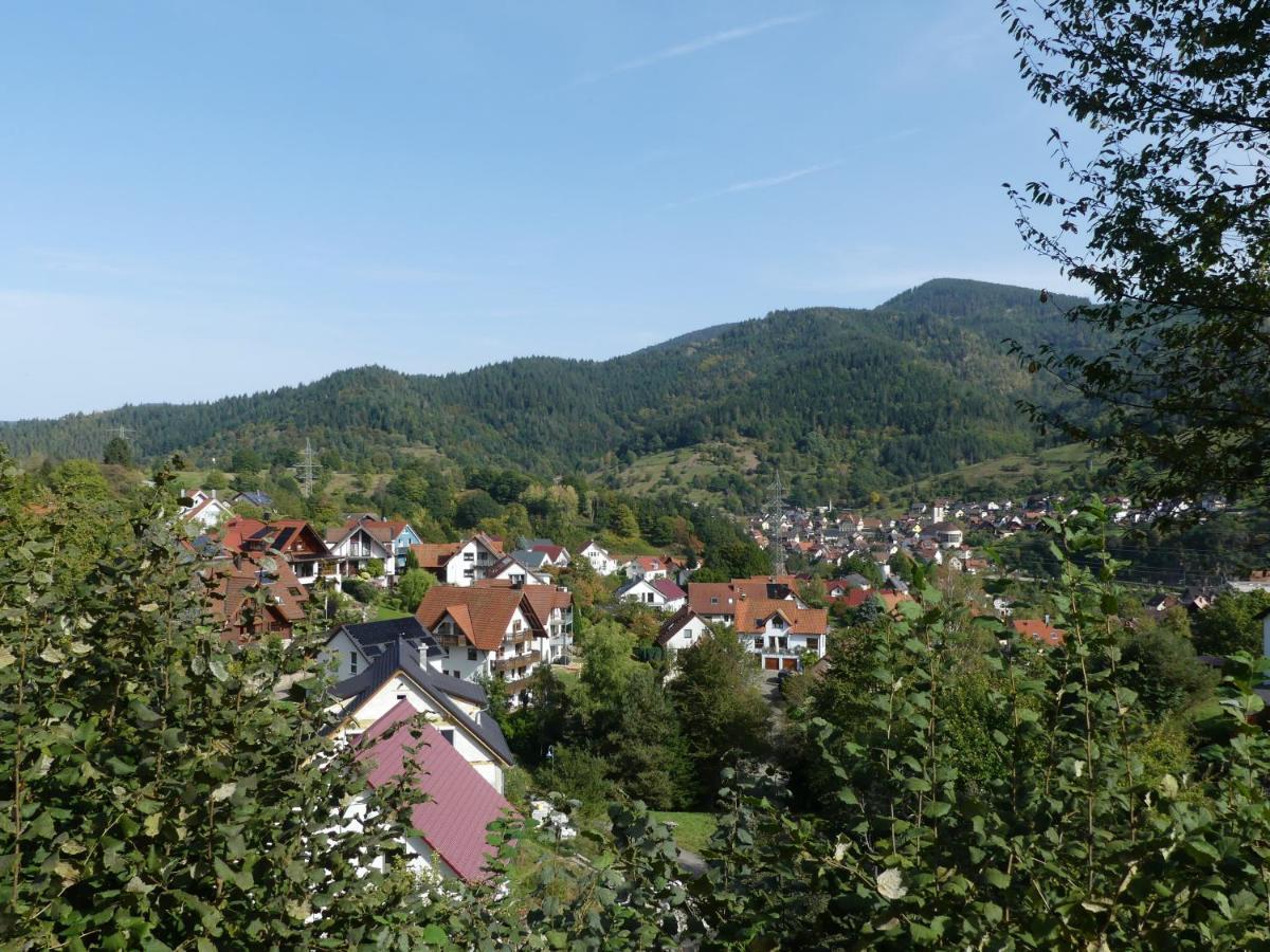 Sonnenhalde Mit Schoener Aussicht Apartment