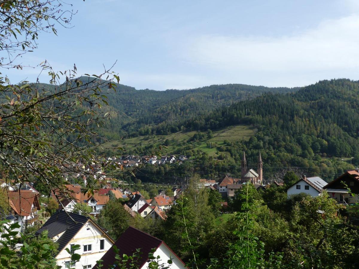Sonnenhalde Mit Schoener Aussicht Apartment